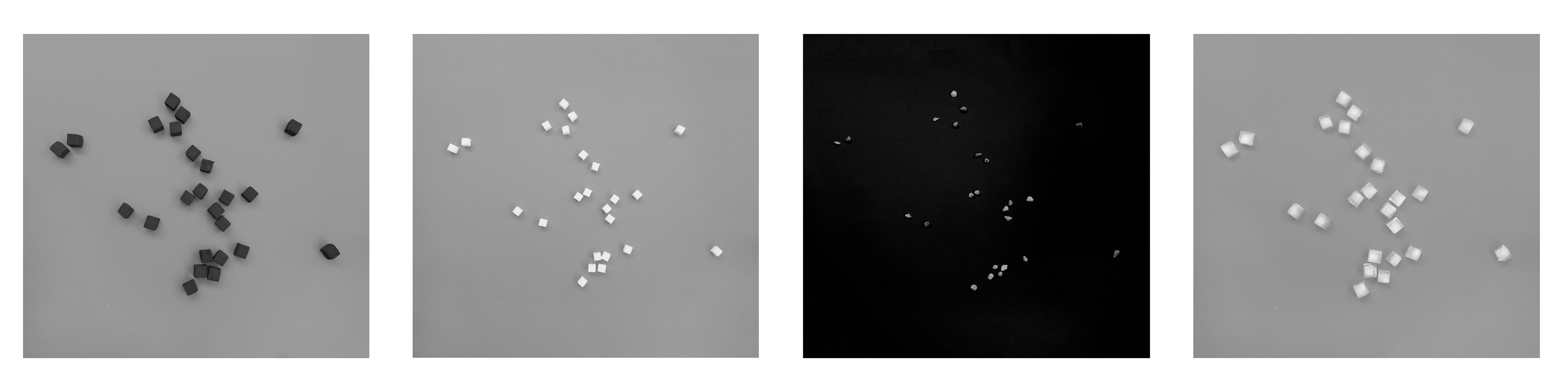 sisley john photo second chances